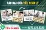 CÁCH CHỮA YẾU SINH LÝ GIÚP LẤY LẠI BẢN LĨNH PHÁI MẠNH