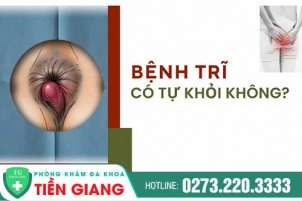 Bệnh Trĩ Có Tự Khỏi Không ? Nguyên Nhân, Tác Hại Và Cách Điều Trị