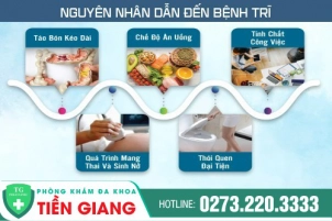 Bị Trĩ Là Như Thế Nào? Tìm Hiểu Nguyên Nhân, Triệu Chứng Và Cách Điều Trị