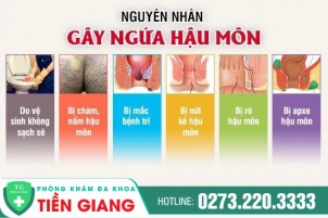 Nguyên Nhân Và Cách Điều Trị Ngứa Đít Hiệu Quả Hiện Nay