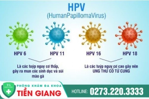 Tìm Hiểu Tổng Quan Về Virus HPV: Nguyên Nhân, Triệu Chứng Và Cách Điều Trị
