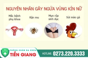 Những Nguyên Nhân Khiến Chị Em Bị Ngứa Vùng Kín Và Cách Khắc Phục