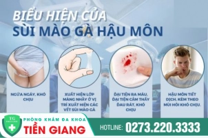 Dấu Hiệu Nhận Biết Sùi Mào Gà Bên Trong Hậu Môn Và Cách Điều Trị