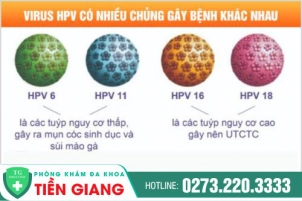 Virus HPV Nguy Hiểm Như Thế Nào? Các Dấu Hiệu Nhận Biết Đã Nhiễm Virus HPV