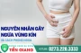 Ngứa bộ phận sinh dục nữ biểu hiện của bệnh nguy hiểm