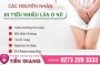 Đi Tiểu Nhiều Lần Ở Phải Nữ : Dấu Hiệu Của Bệnh Lý Gì - Các Phương Pháp Điều Trị Hiện Nay